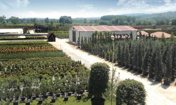 Serbesler Botanik, No 1 Comfortable Villa Сакарья Экстерьер фото